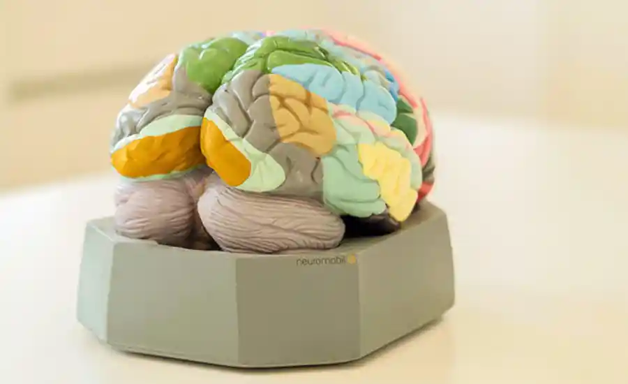 Eine Einschätzung des Hirndruckmonitorings mittels TCCD und ONSD ist möglich.